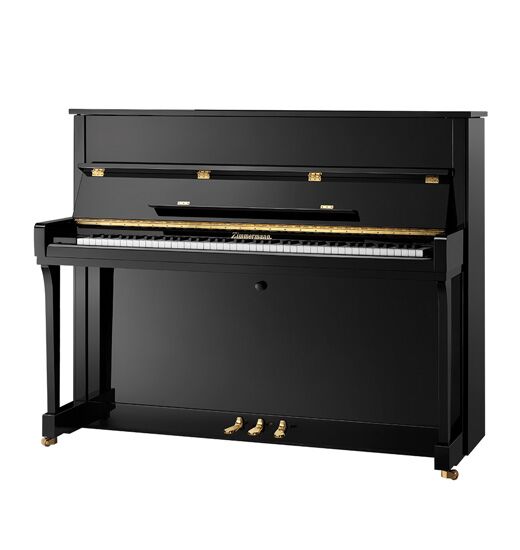 Zimmermann_S2_Black_pol_520x55