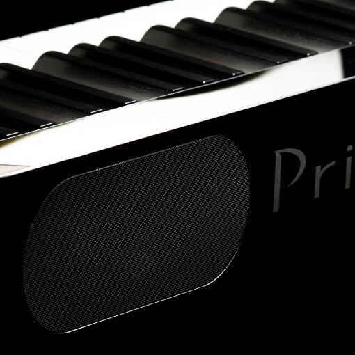 Casio PX-S1000 Speaker