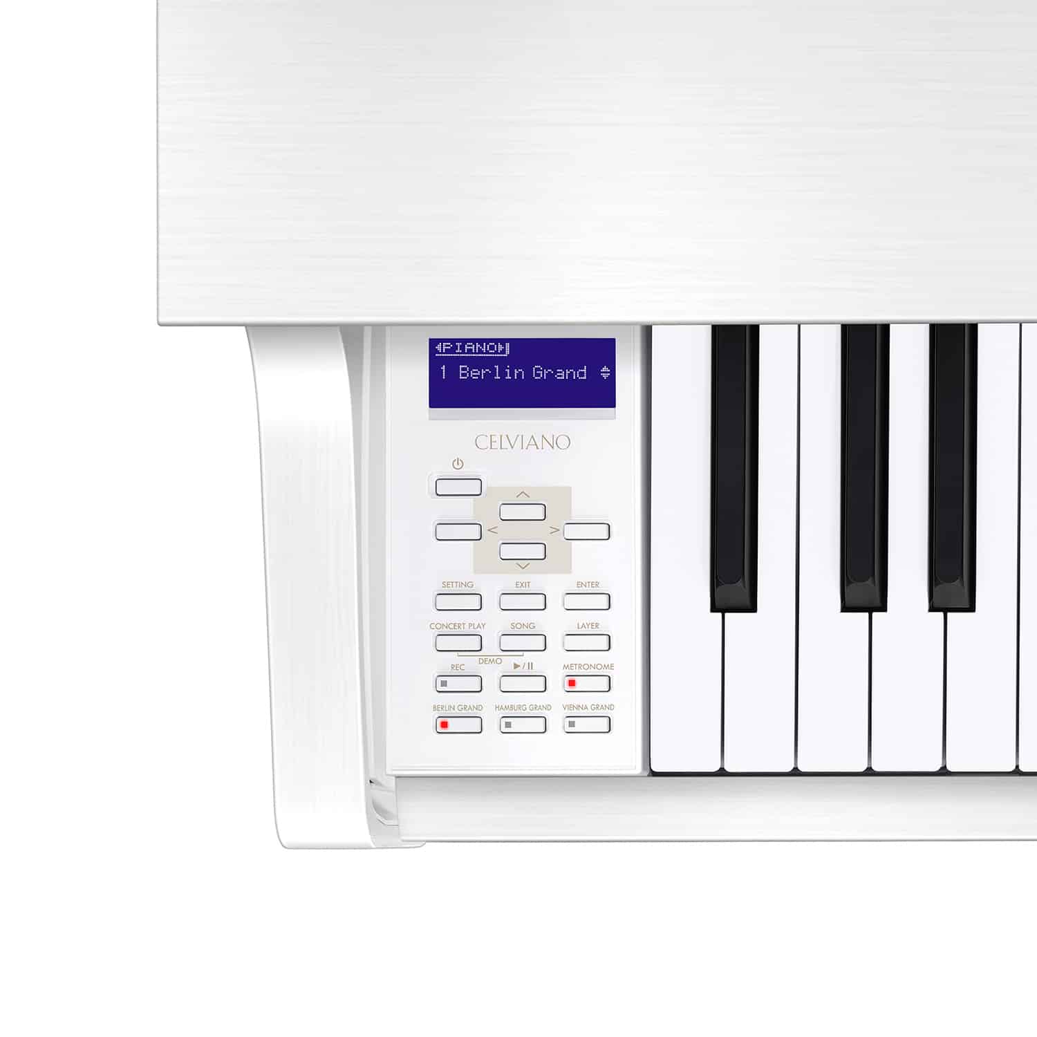 Casio GP-310 Display