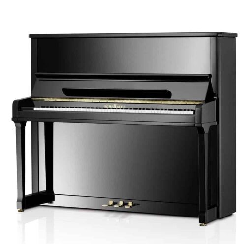 Schimmel C130