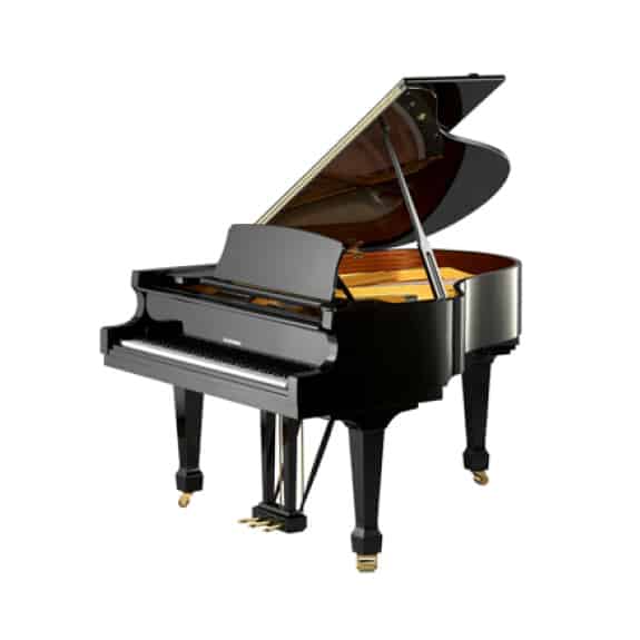 W Hoffmann T161