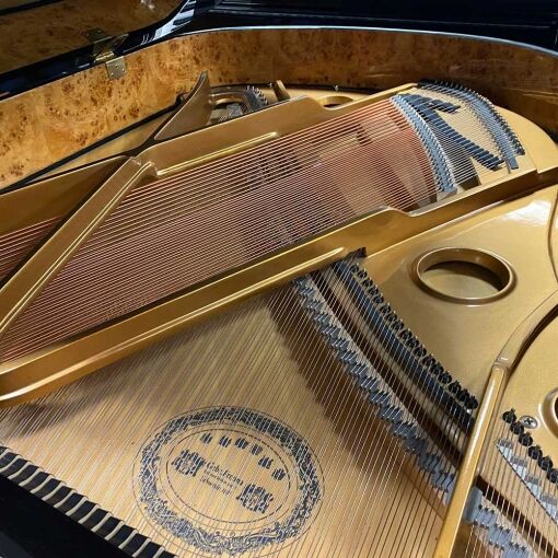 Used Perzina GBT175BB Grand Piano - Image 2