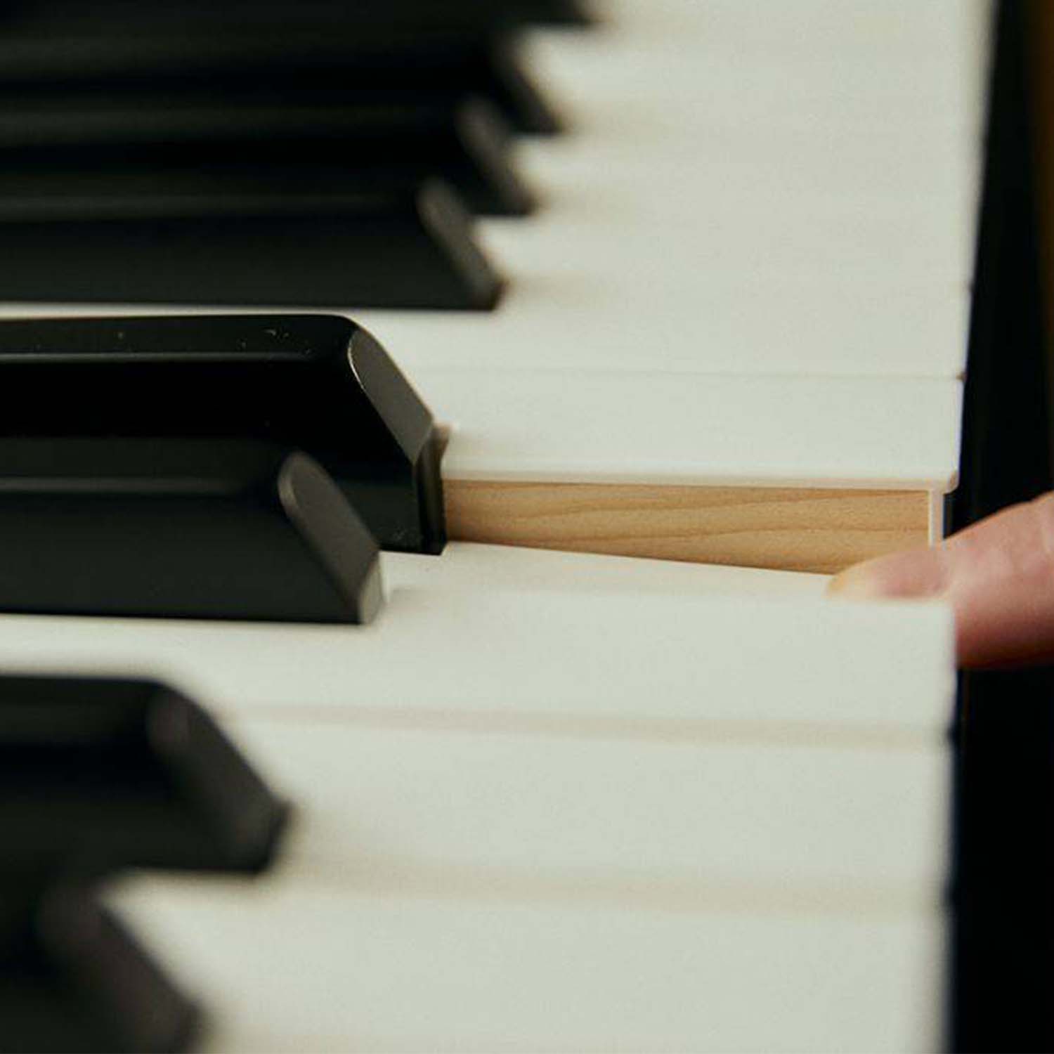 Image of a piano key being played on a Casio PXS5000