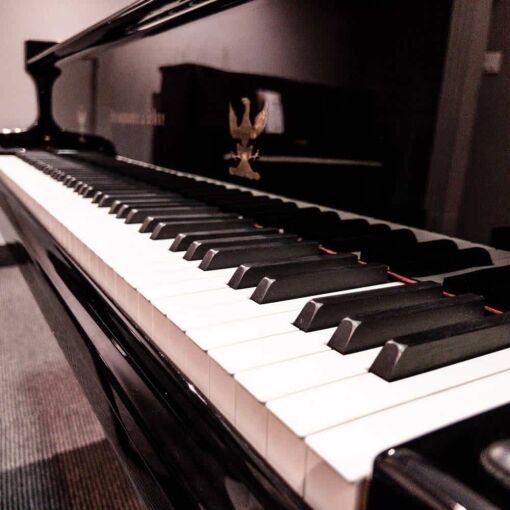 Used Steingraber Opus 168 Grand Piano in Polished Ebony keys closeup