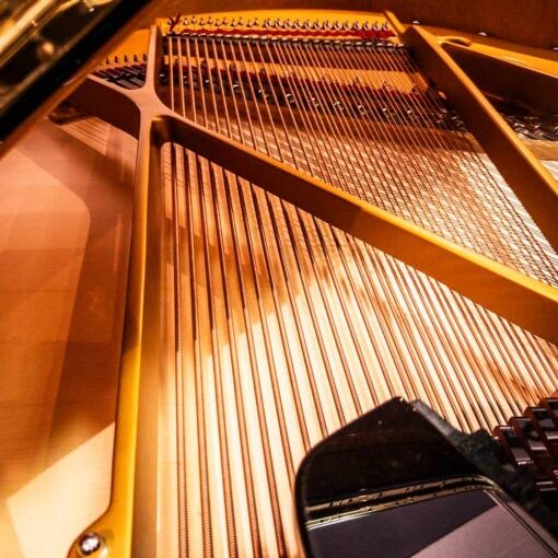 Used Steingraber Opus 168 Grand Piano in Polished Ebony strings