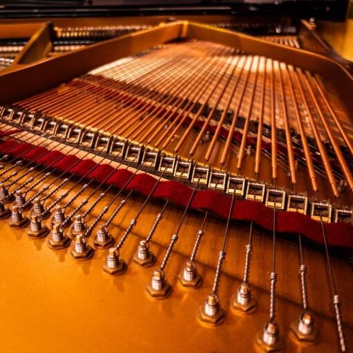 Used Steingraber Opus 168 Grand Piano in Polished Ebony strings front