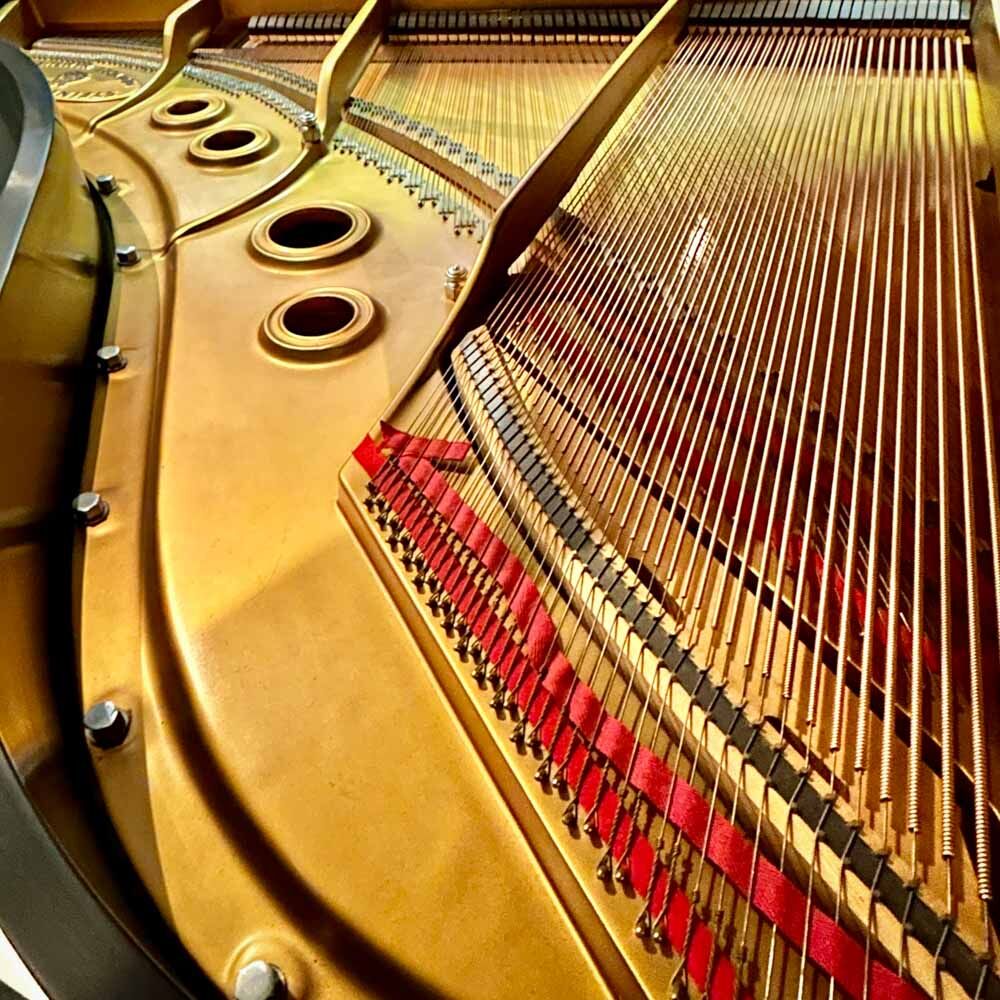 Steinway L Grand Piano Strings