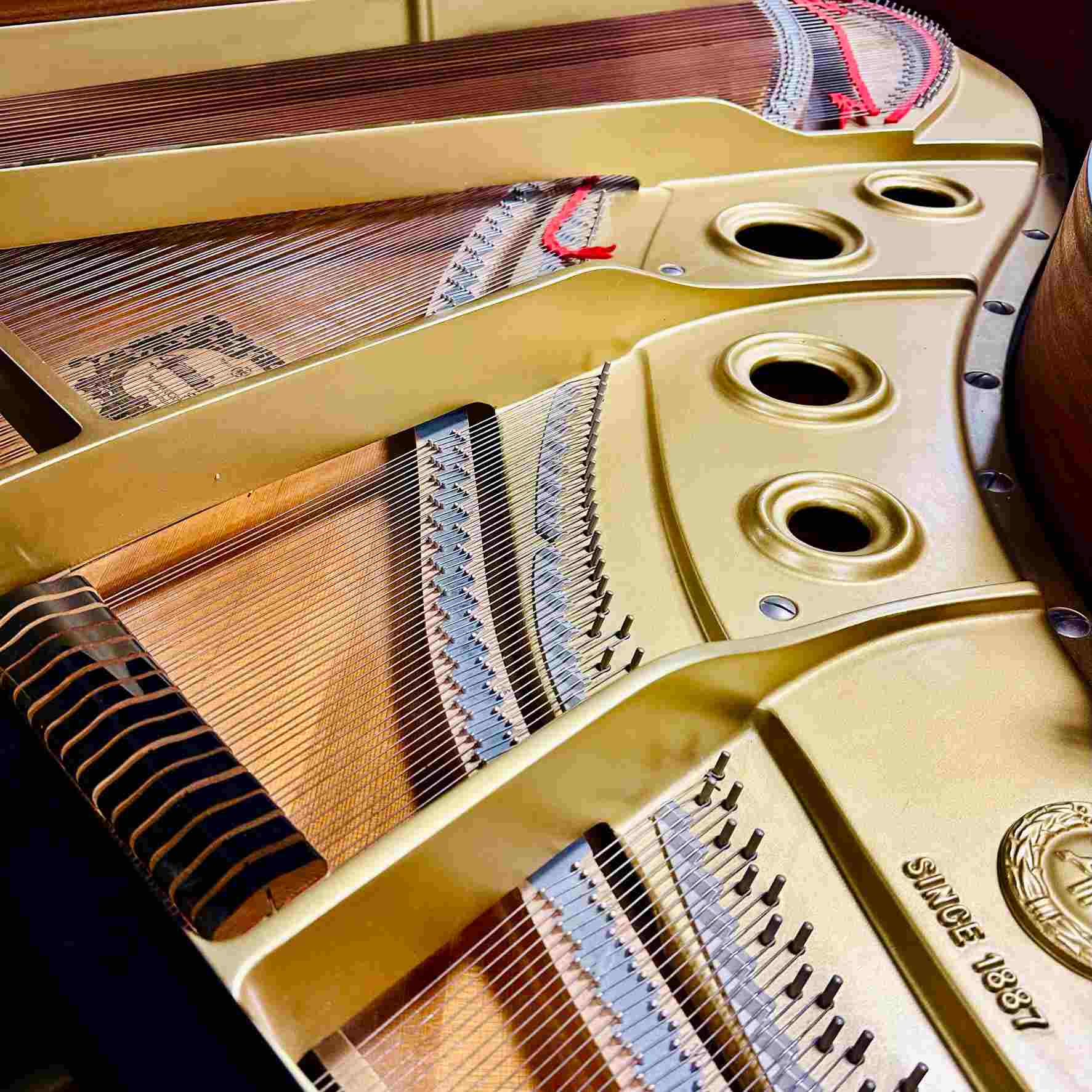 Used Yamaha G3 Grand Piano in Ebony Polish - Image 5