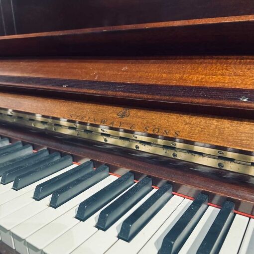 Steinway & Sons 142 Logo