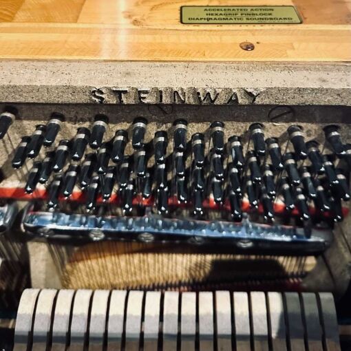 Steinway & Sons 142 Pinblock