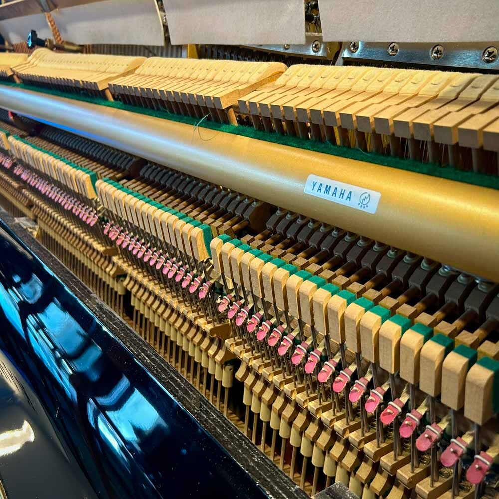 Yamaha U3A Action