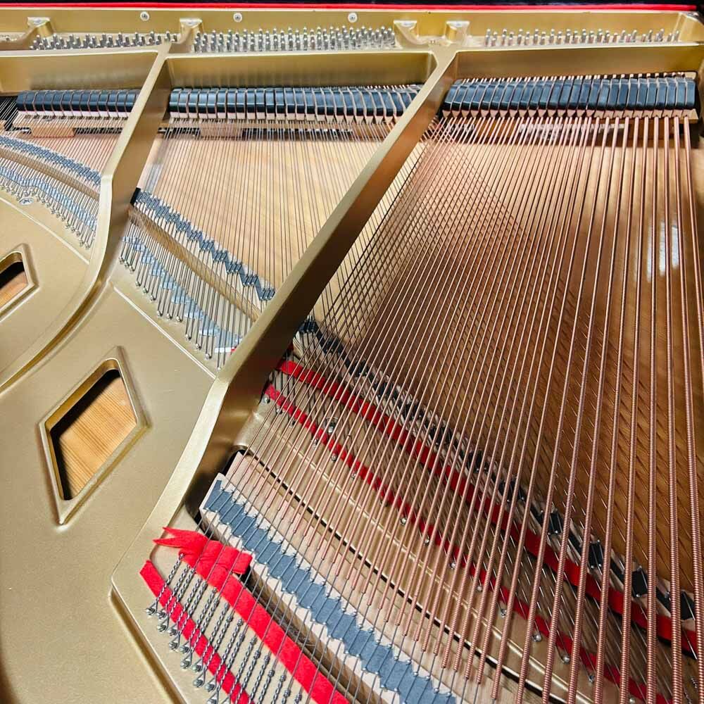 Boston GP156 Strings