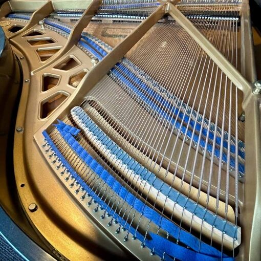 Kawai KG2D Grand Piano Strings