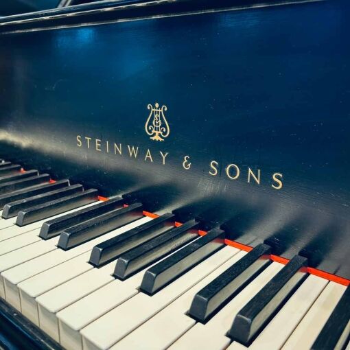 Steinway M Grand Piano Front Logo