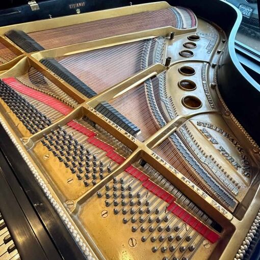 Steinway M Grand Piano Soundboard