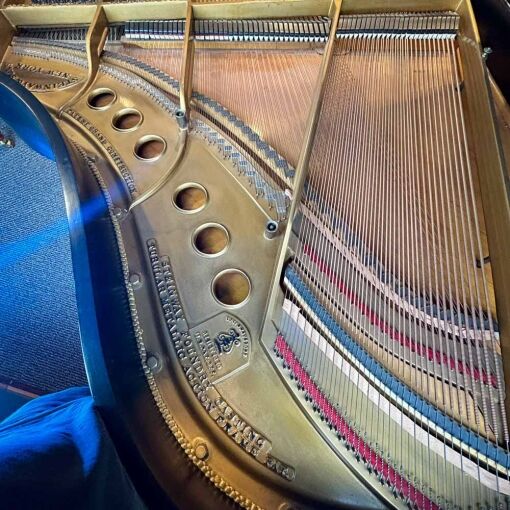 Steinway M Grand Piano Strings