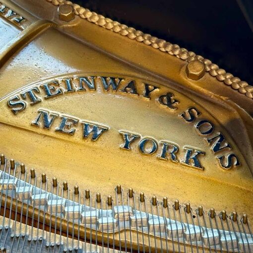 Steinway M Grand Piano Inside Badge