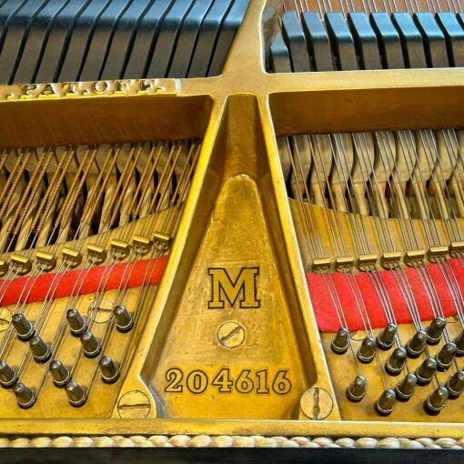 Steinway M Grand Piano Serial Number