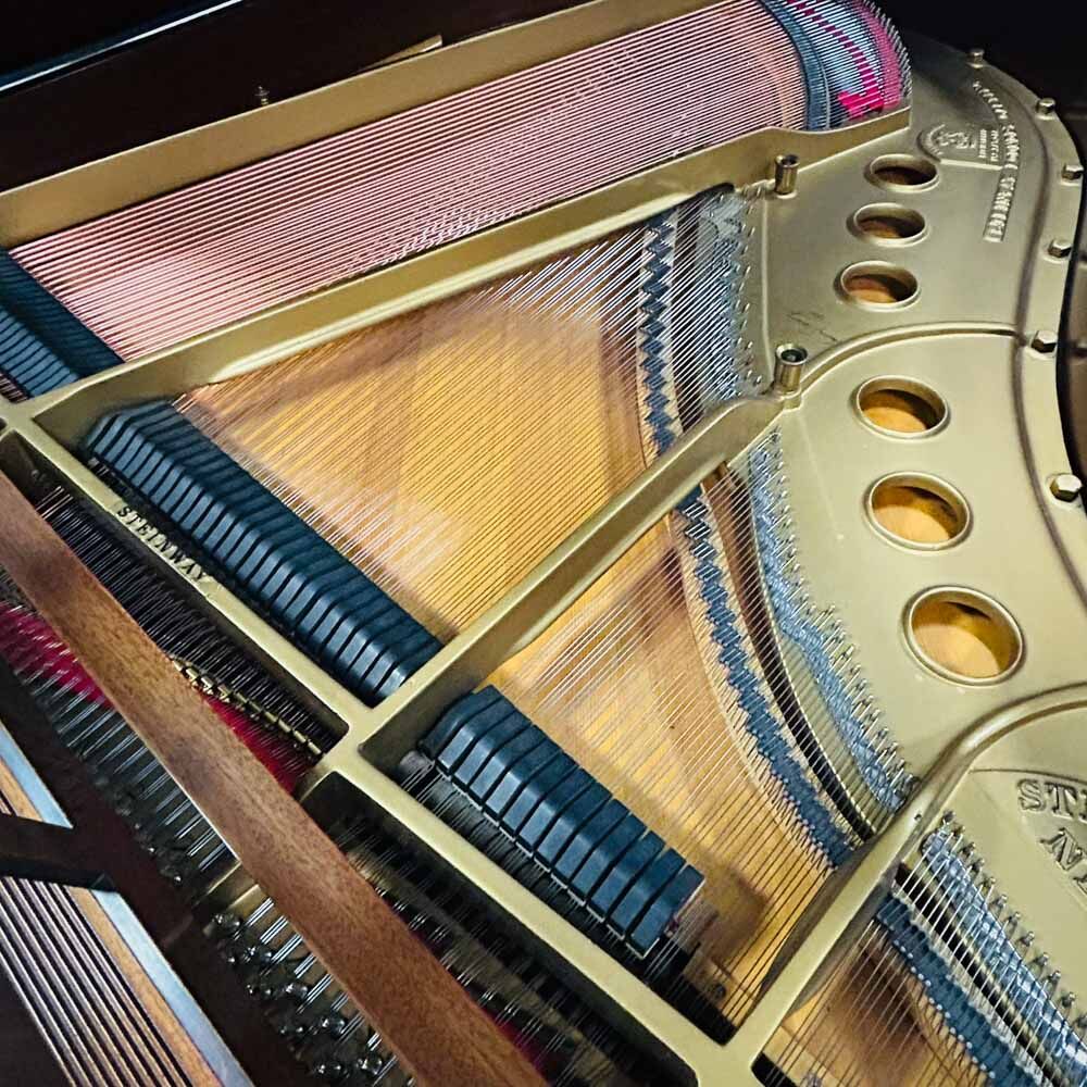 Steinway M Grand Piano Inside