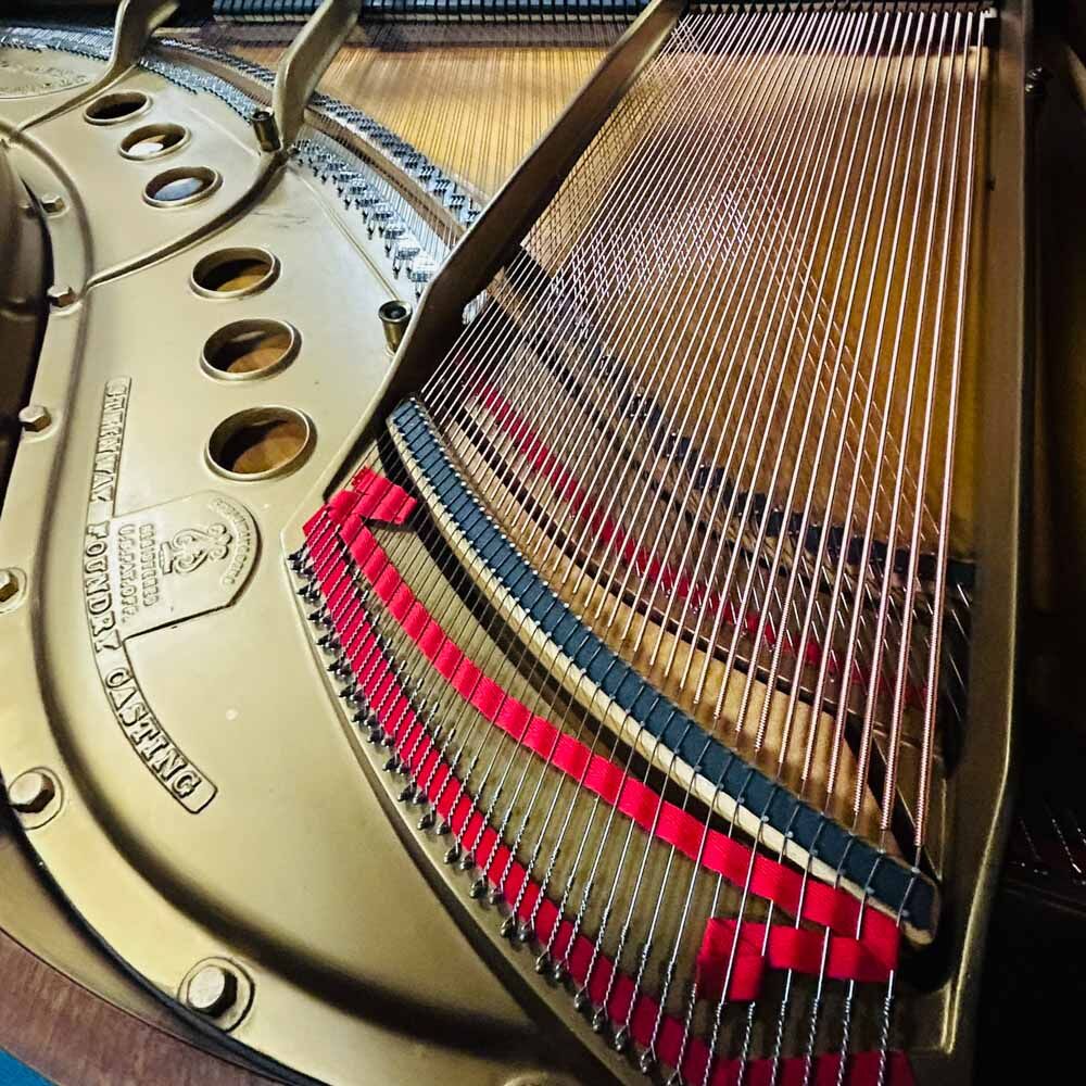 Steinway M Grand Piano Strings