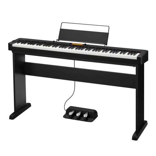 Casio CDP-S350 Stand Triple Pedal