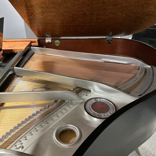 Interior of Story & Clark Baby Grand in Two Tone