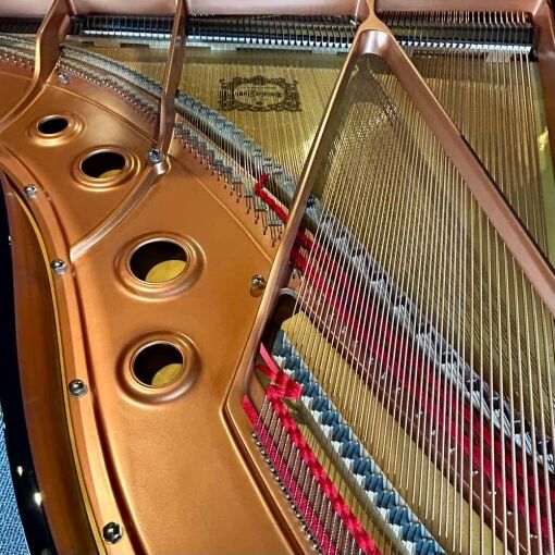 Yamaha C3 Grand Piano Strings