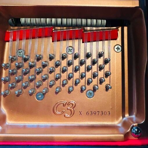 Yamaha C3 Grand Piano Model & Serial