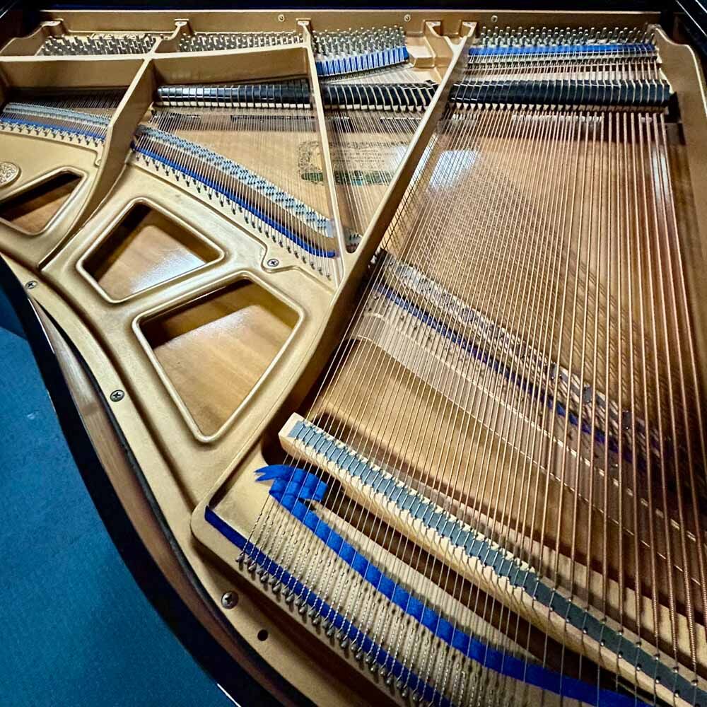 Kawai KG1E Grand Piano Strings