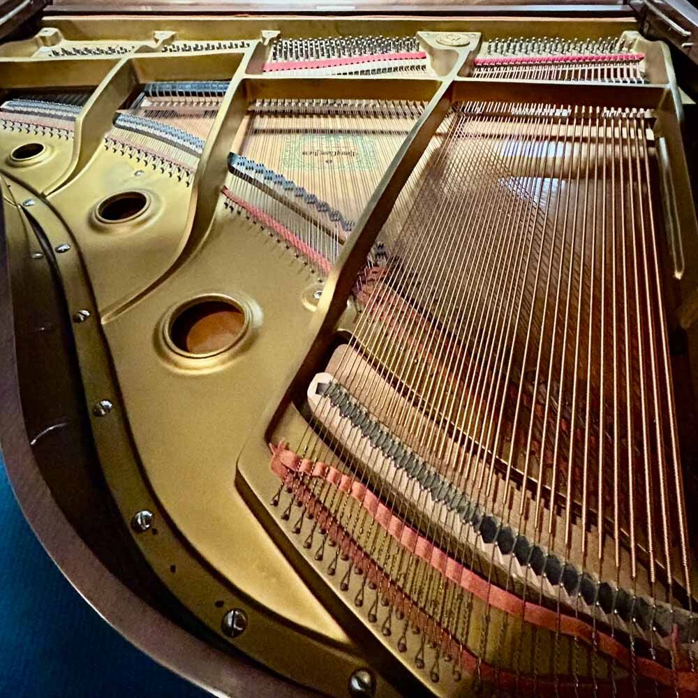 Wagner G157 Grand Piano Strings