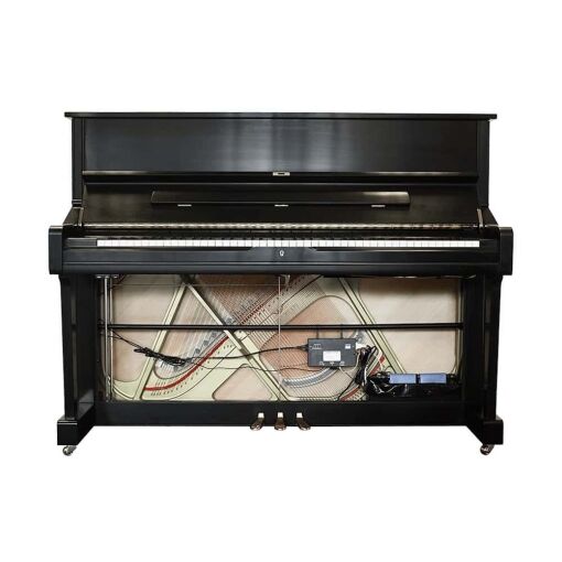 Piano Life Saver DC-UPRIGHT Dampp Chaser