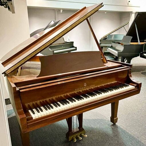 Steinway M Grand Piano Left Angle
