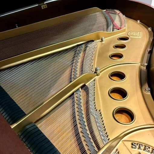 Steinway M Grand Piano Soundboard