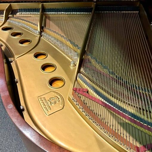 Steinway M Grand Piano Strings