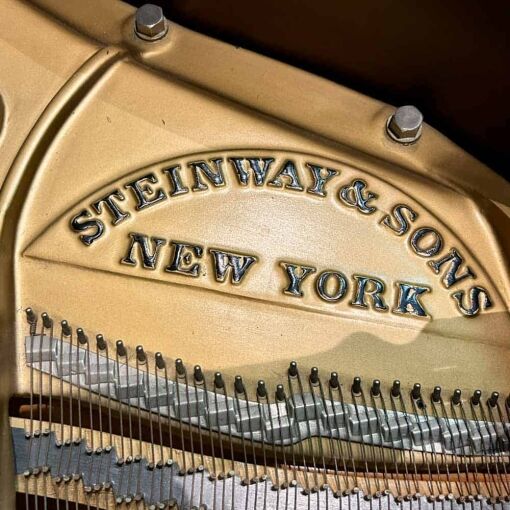 Steinway M Grand Piano Inside Logo