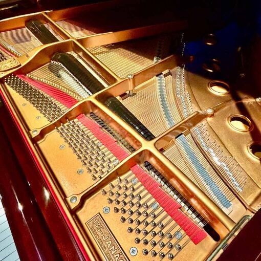 Rieger-Kloss 185 Grand Piano Plate