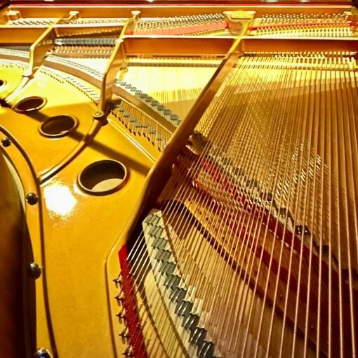 Rieger-Kloss 185 Grand Piano Strings