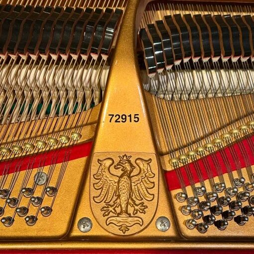 Rieger-Kloss 185 Grand Piano Serial Number