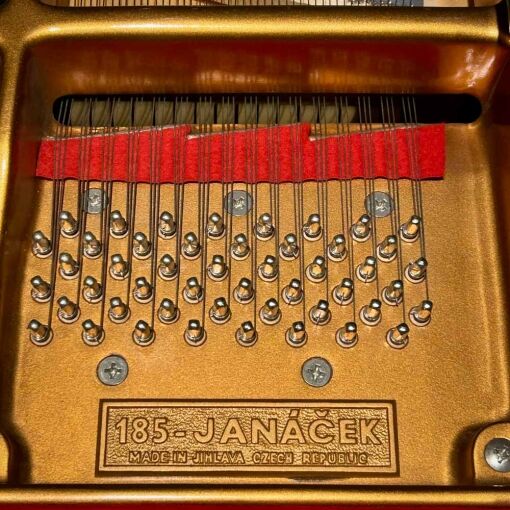 Rieger-Kloss 185 Grand Piano Model Number