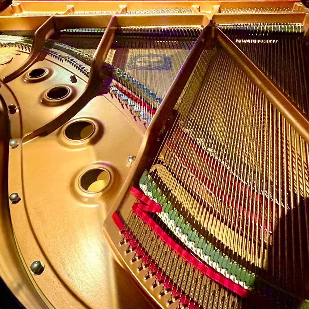 Yamaha GC1 Grand Piano Strings