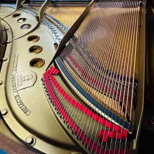 Steinway M Grand Piano Strings