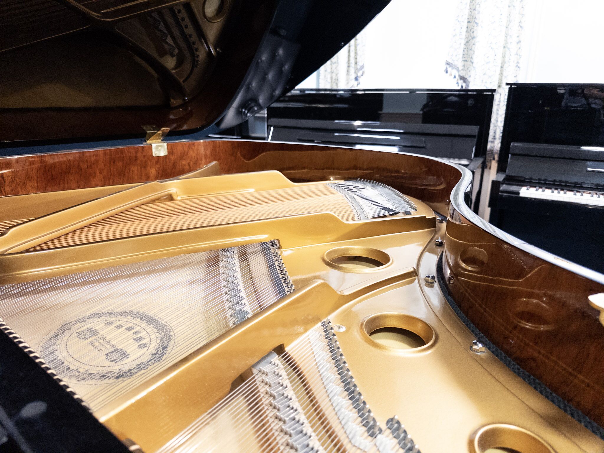 Perzina 161 Grand Piano Inside