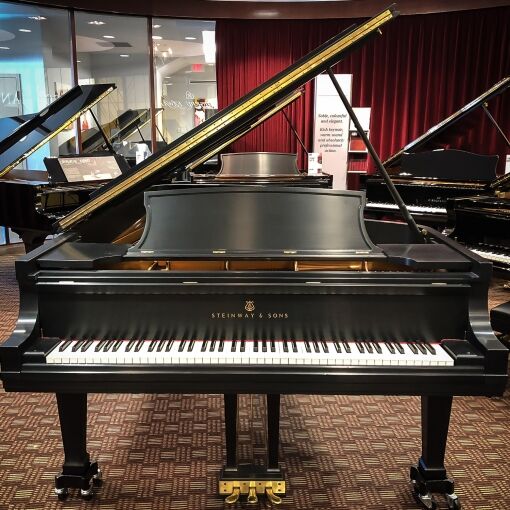 Used Steinway "Model D"