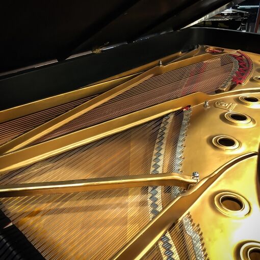 Used Steinway "Model D" - Image 3