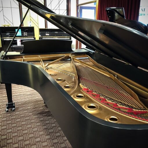 Used Steinway "Model D" - Image 4