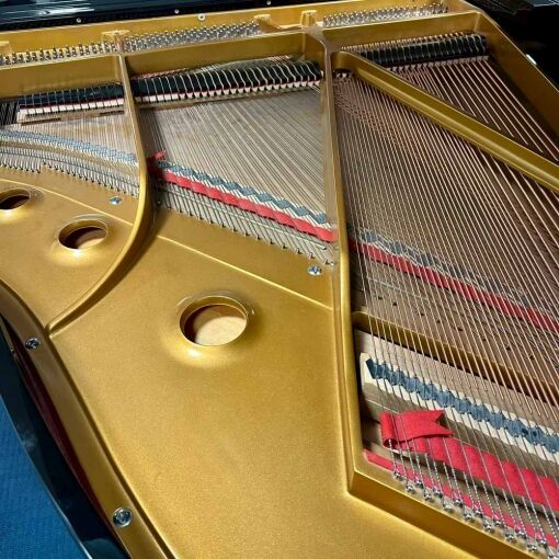 Baldwin C172 Grand Piano Strings