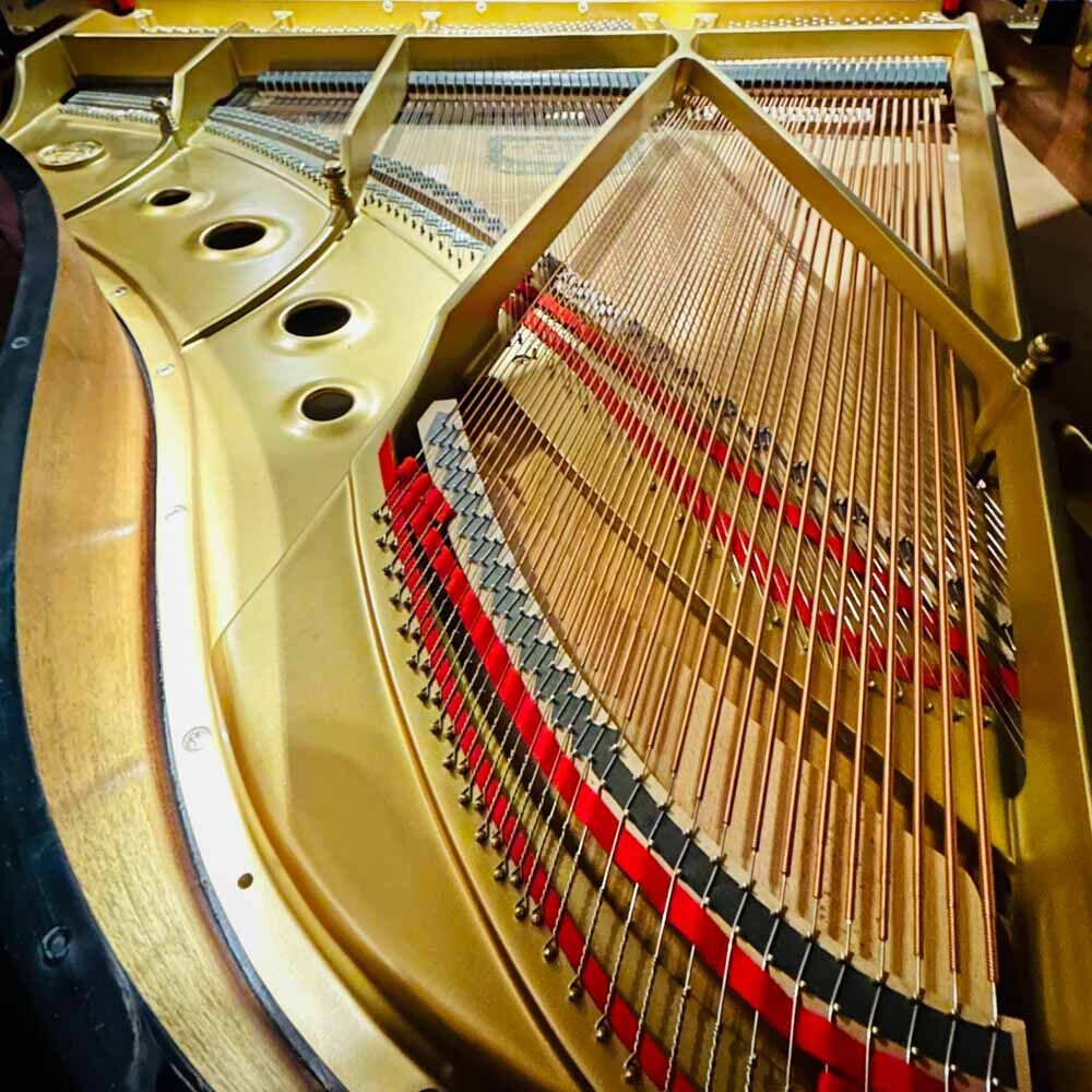 Kawai RX3 Grand Piano Strings