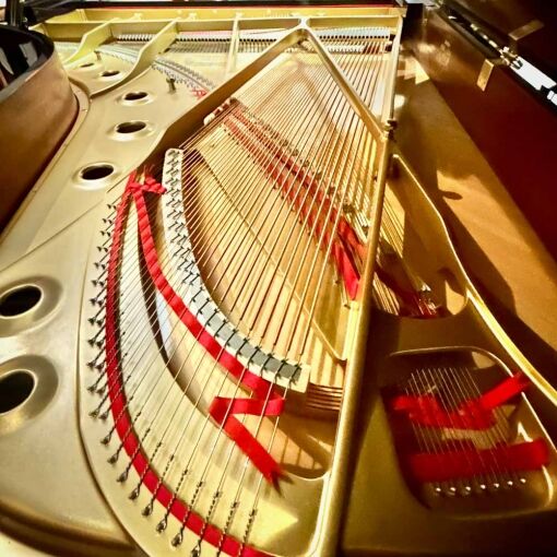 Kawai RX7 Grand Piano Strings