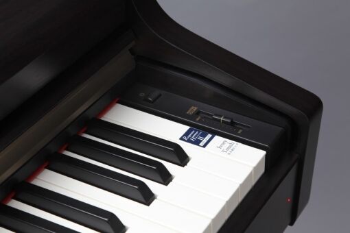 KAWAI CN24 - Image 3