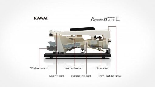 KAWAI CN24 - Image 5